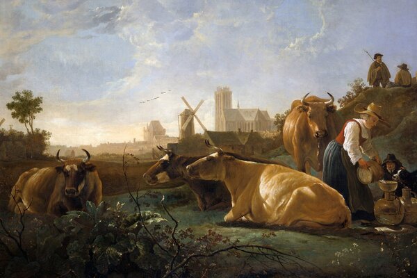 Cows lying on the grass. The girl with the jug