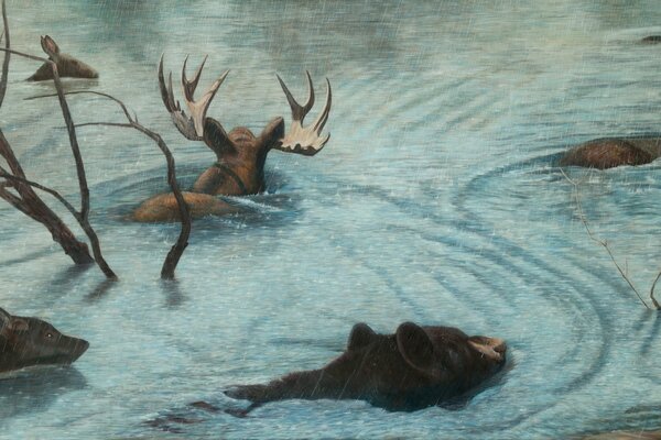 Drawing. Moose swim to the other shore