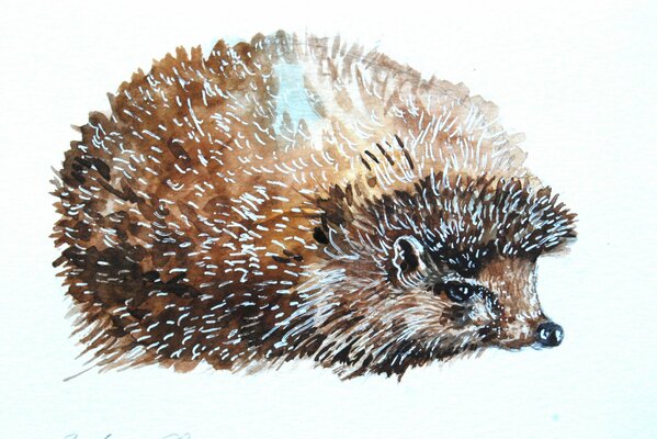 Watercolor hedgehog with blue needles