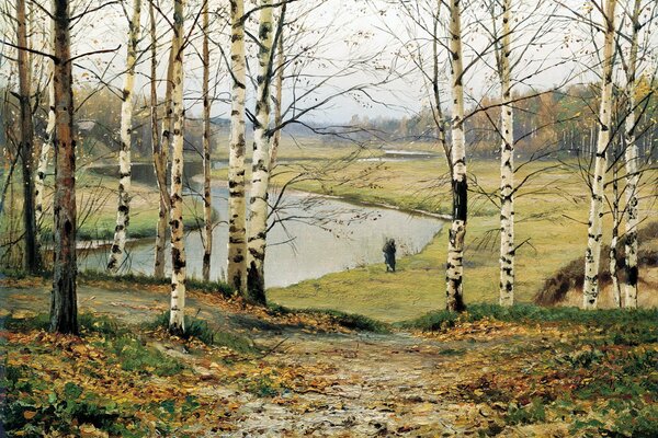 Landscape of the forest. Russian birches in autumn