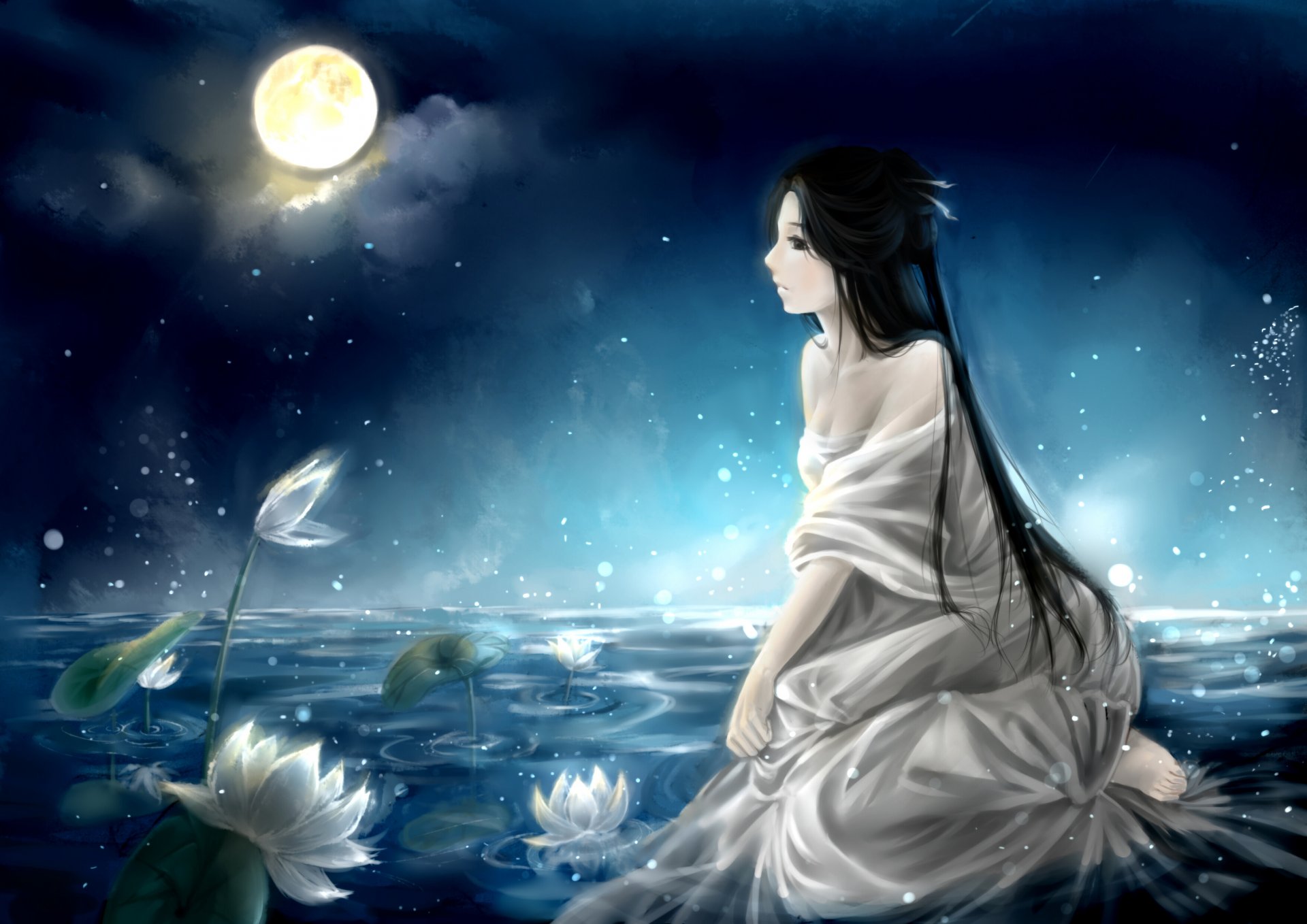 arte clouble chica noche luna nenúfares lago cielo nubes anime