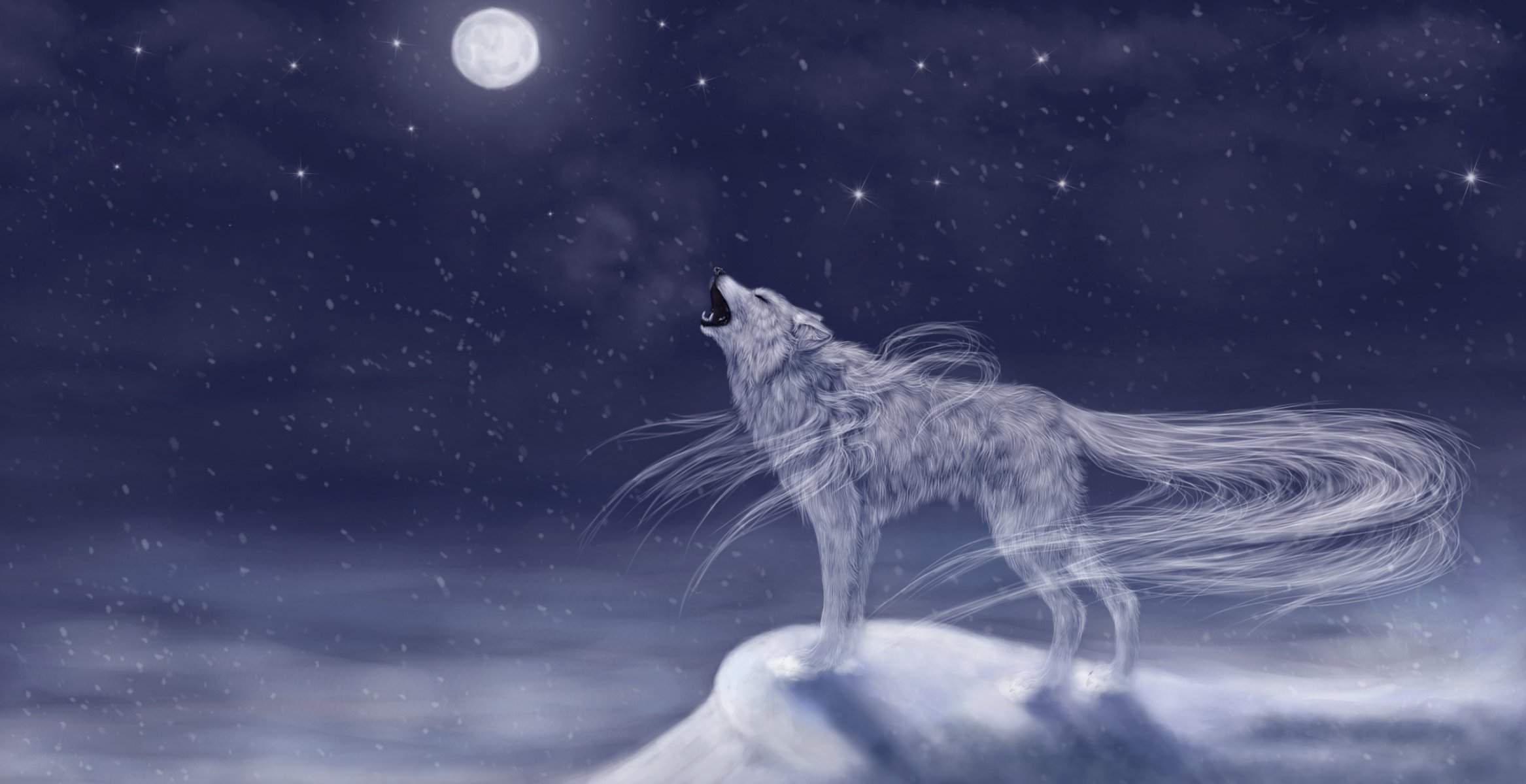 arte animal lobo aullido whost luna cielo noche nieve frío