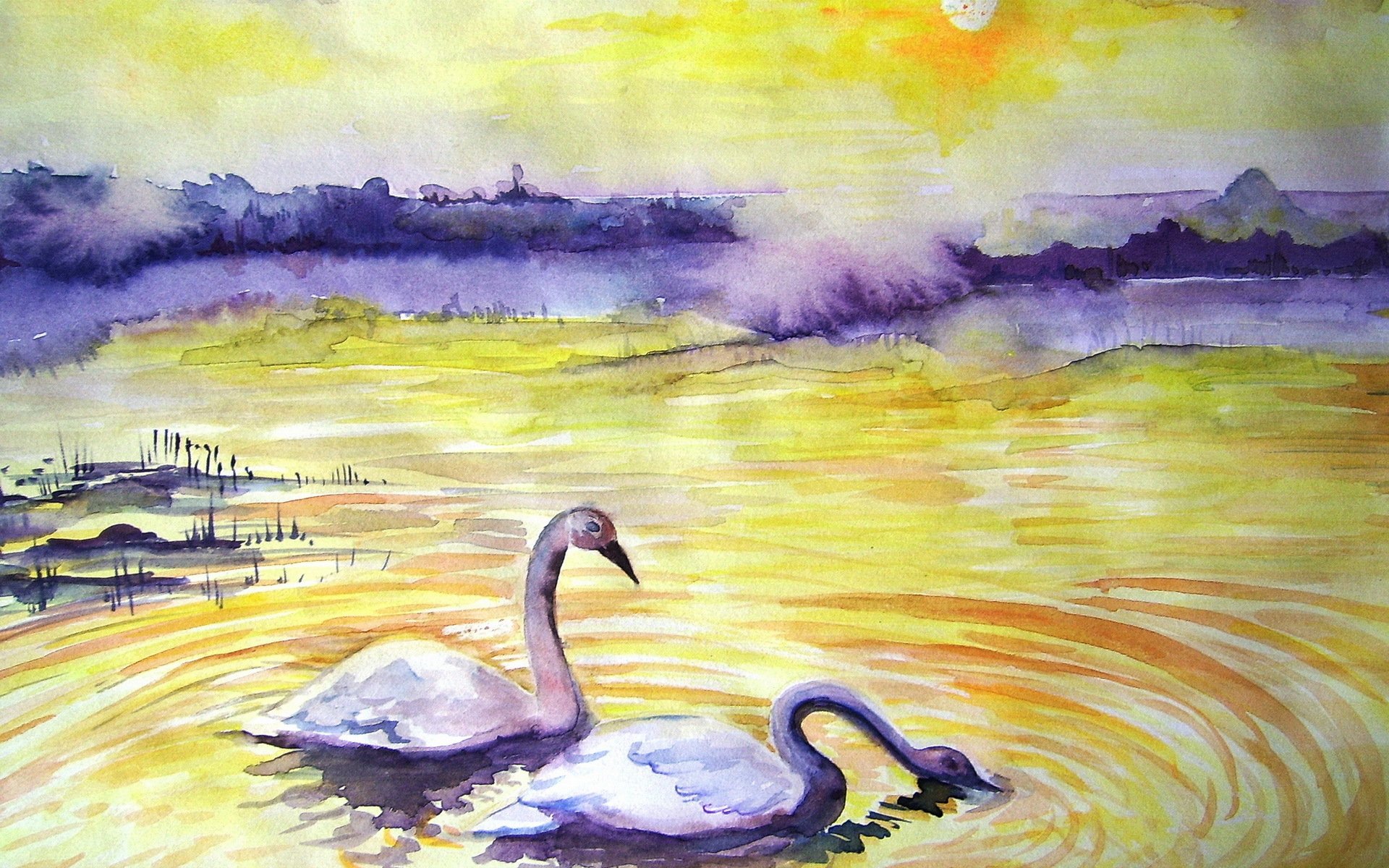 cygnes paysage aquarelle