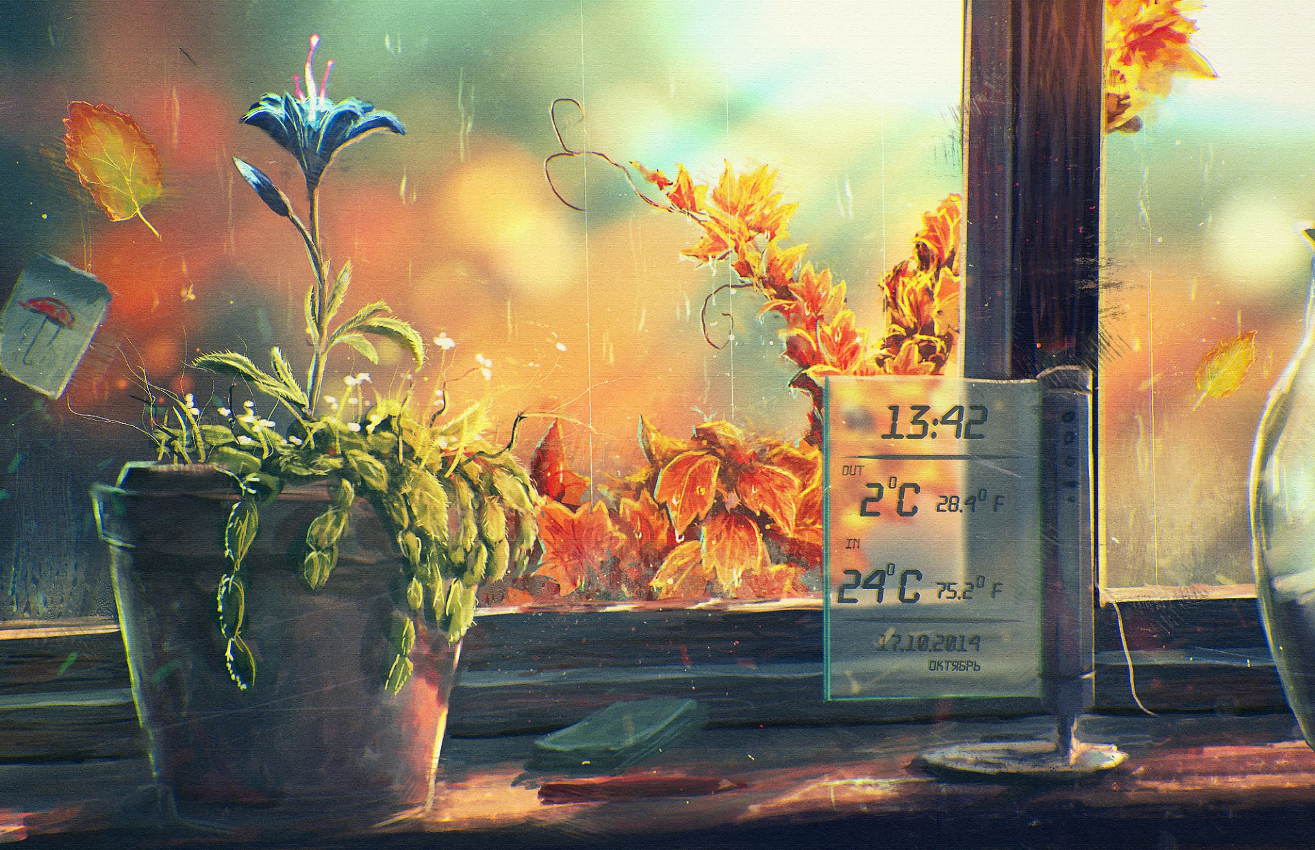 window the window sill pot flower thermometer art