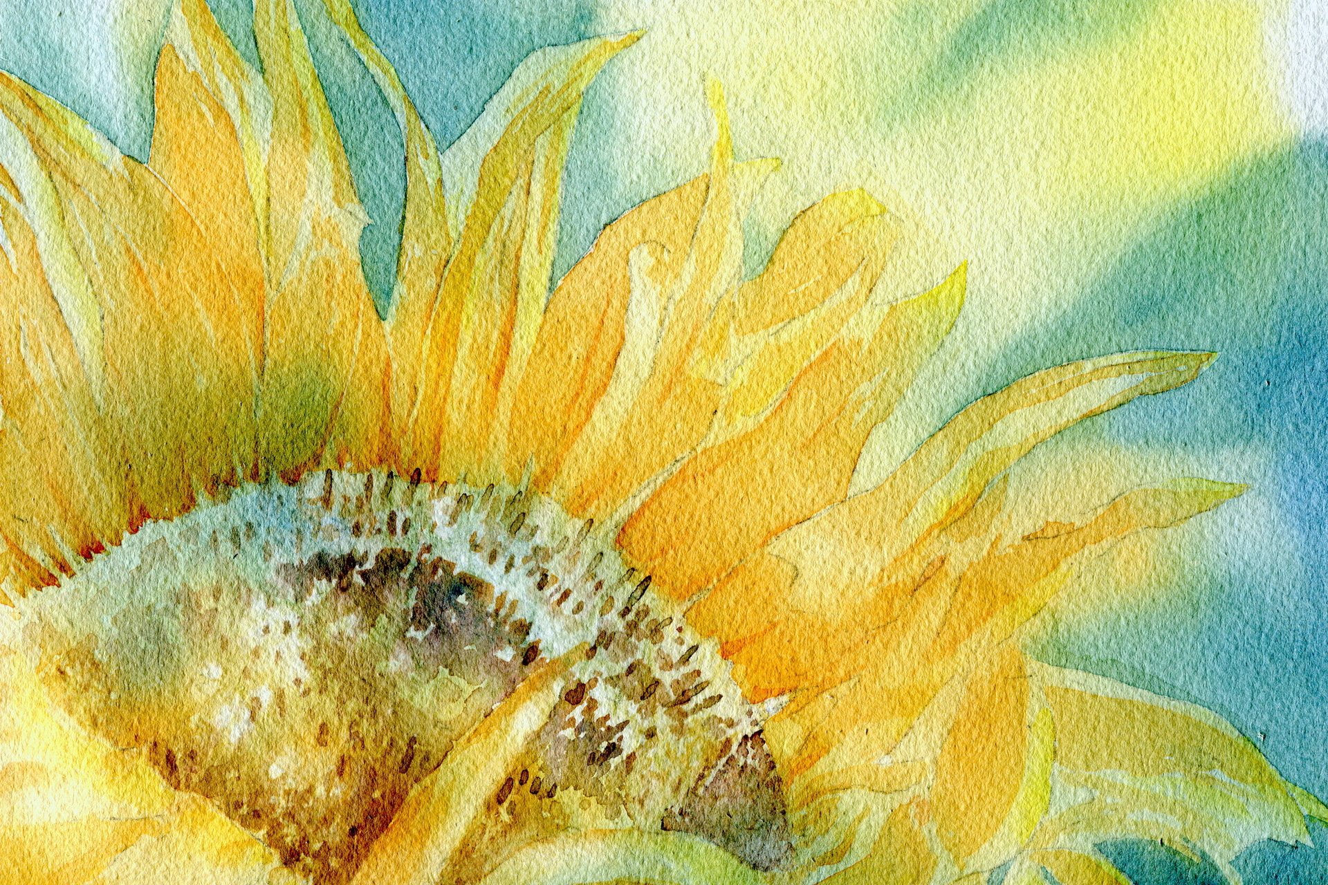 pattern sunflower background