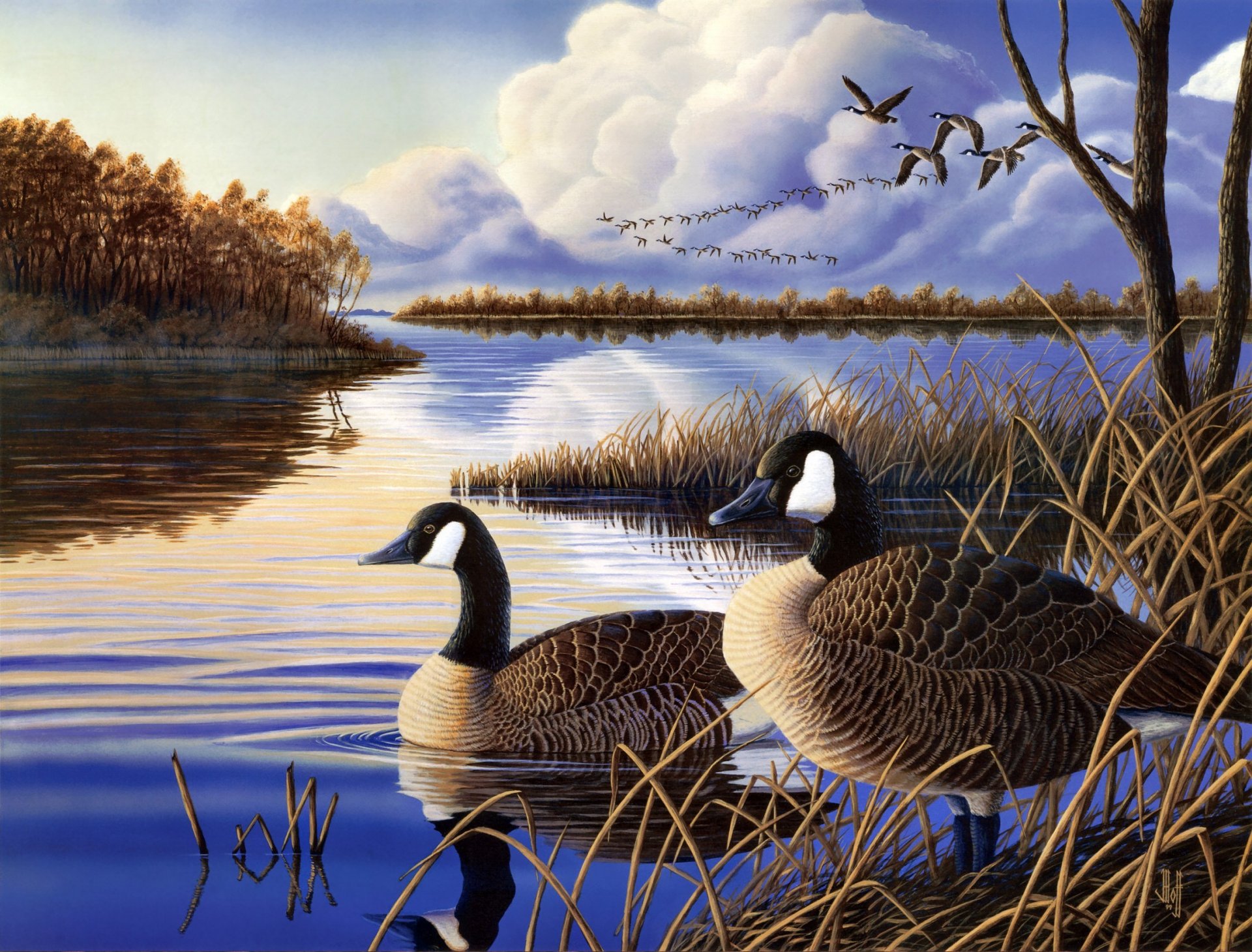 jeff hoff evening rest painting geese river lake backwater migratory birds a flock of ducks duck night autumn