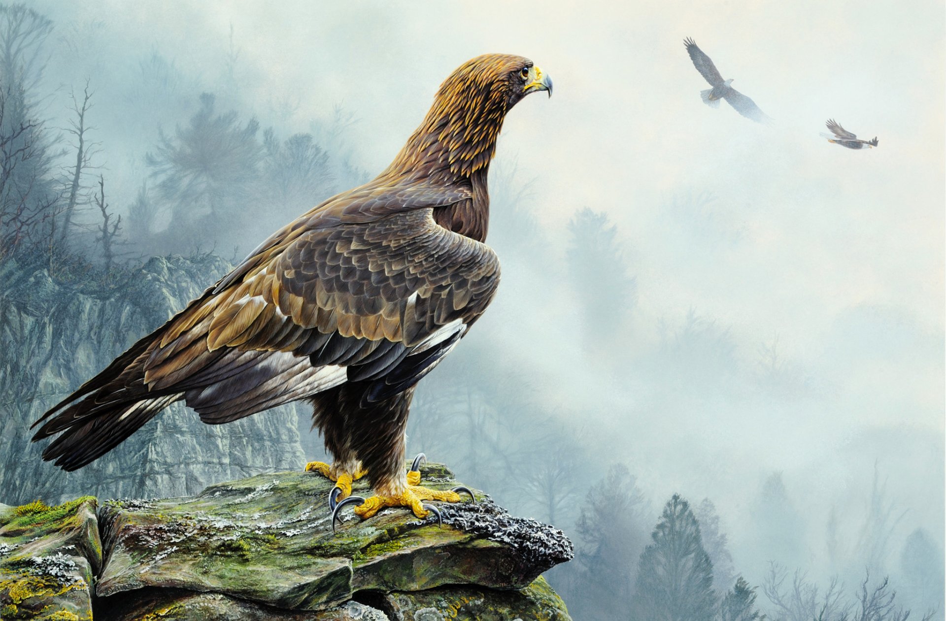 alan m. hunt golden eagle pattern poultry eagle flight rock tree fog nature landscape