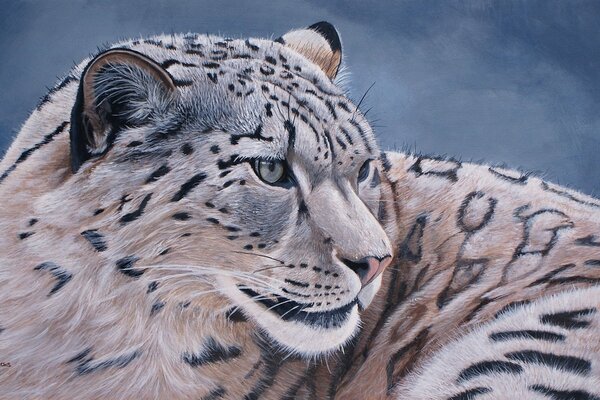 Snow leopard. Animals. Drawing