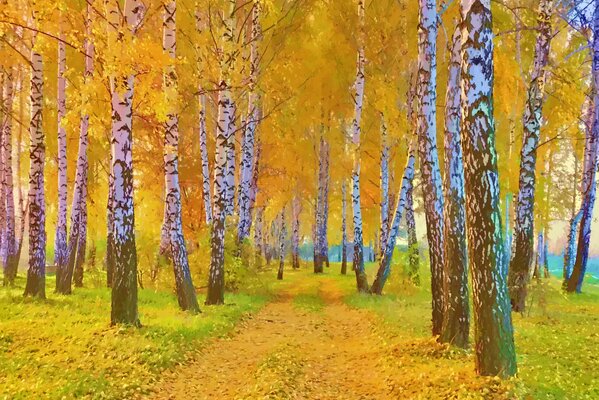 Ein Bild des Herbstes. Straße im Birkenhain