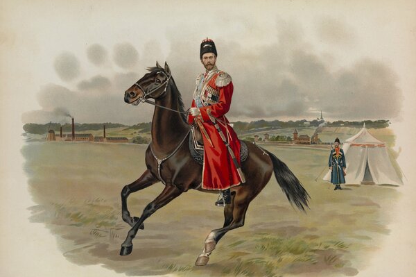 Cossack in the field on a young stallion