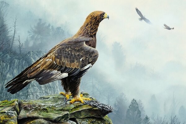 Goldener Adler auf einem Felsen. Alan m. Hunt