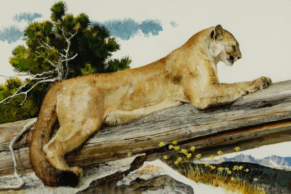 Painting of a cougar in nature on a log