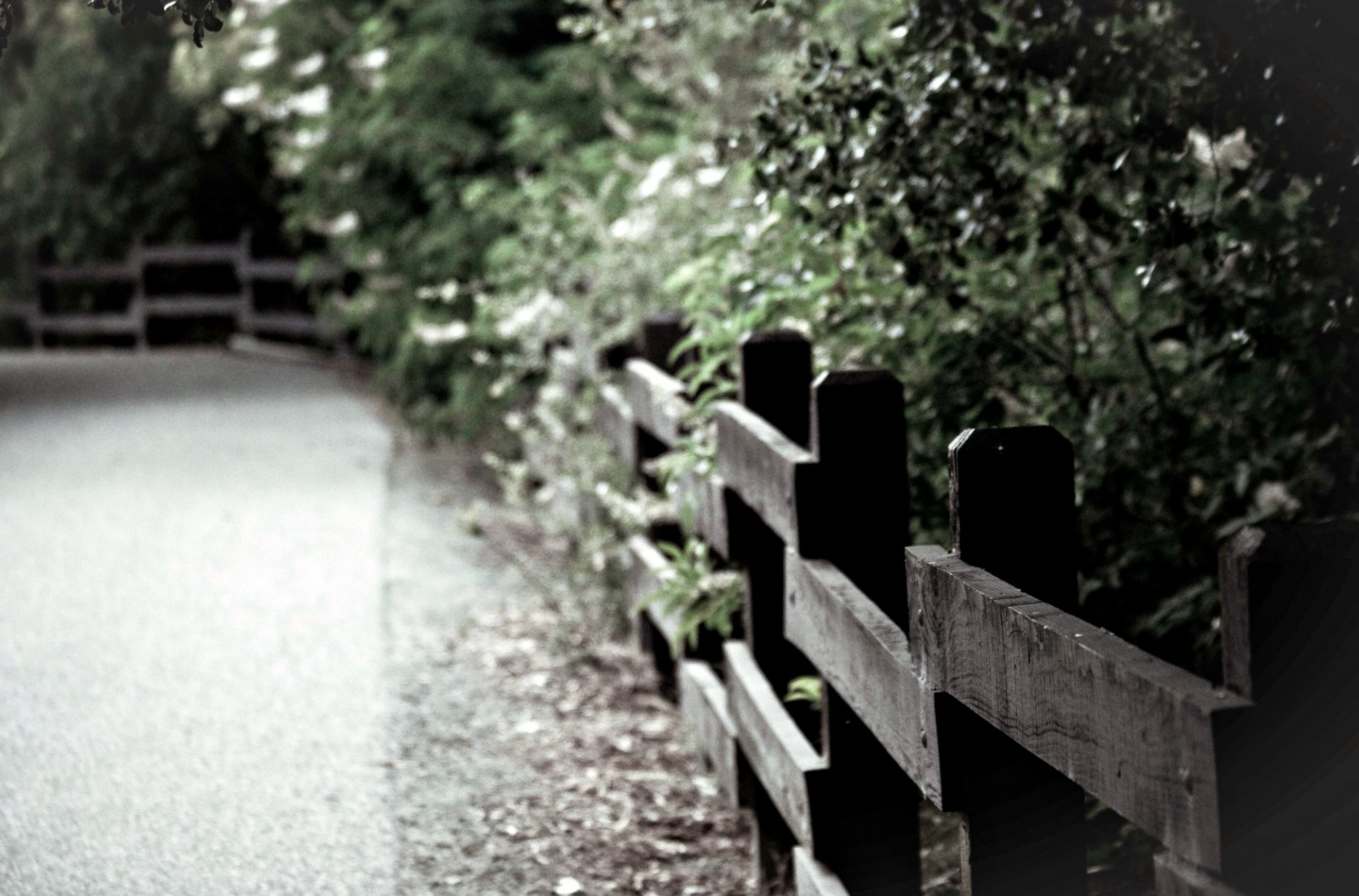 close up fence wood fencing tree leaves background wallpaper widescreen full screen hd wallpapers fullscreen