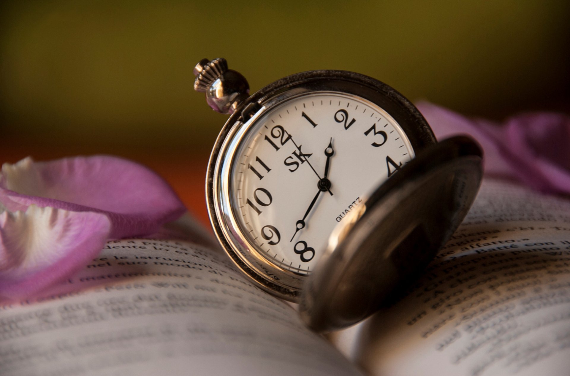 watches time book the text petals pink rose