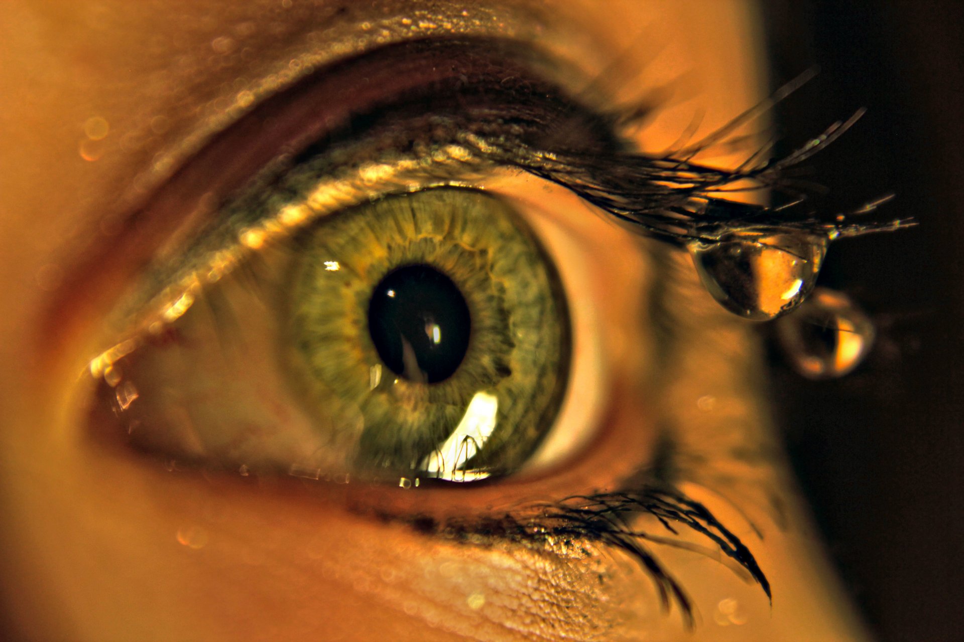 close up macro eye pupil eyelash drop water