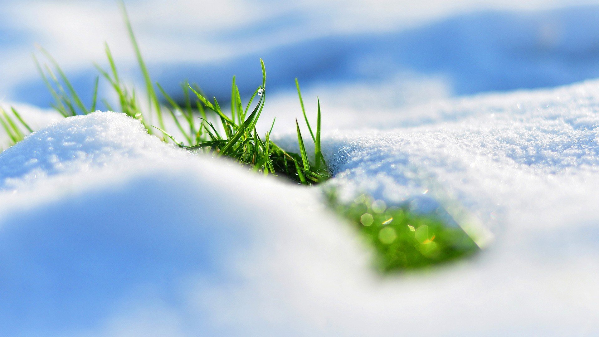 neige herbe printemps