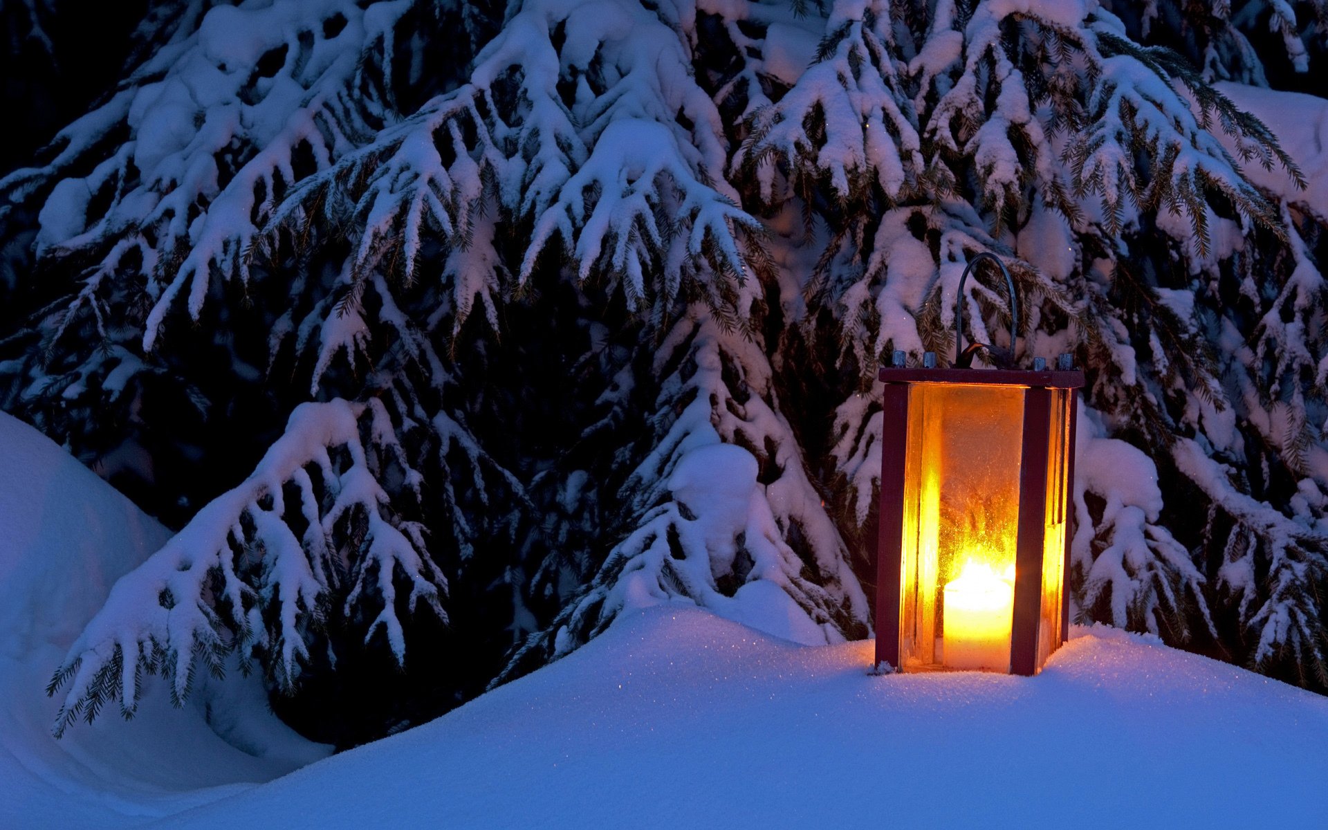 linterna nieve árbol invierno luz invierno abeto