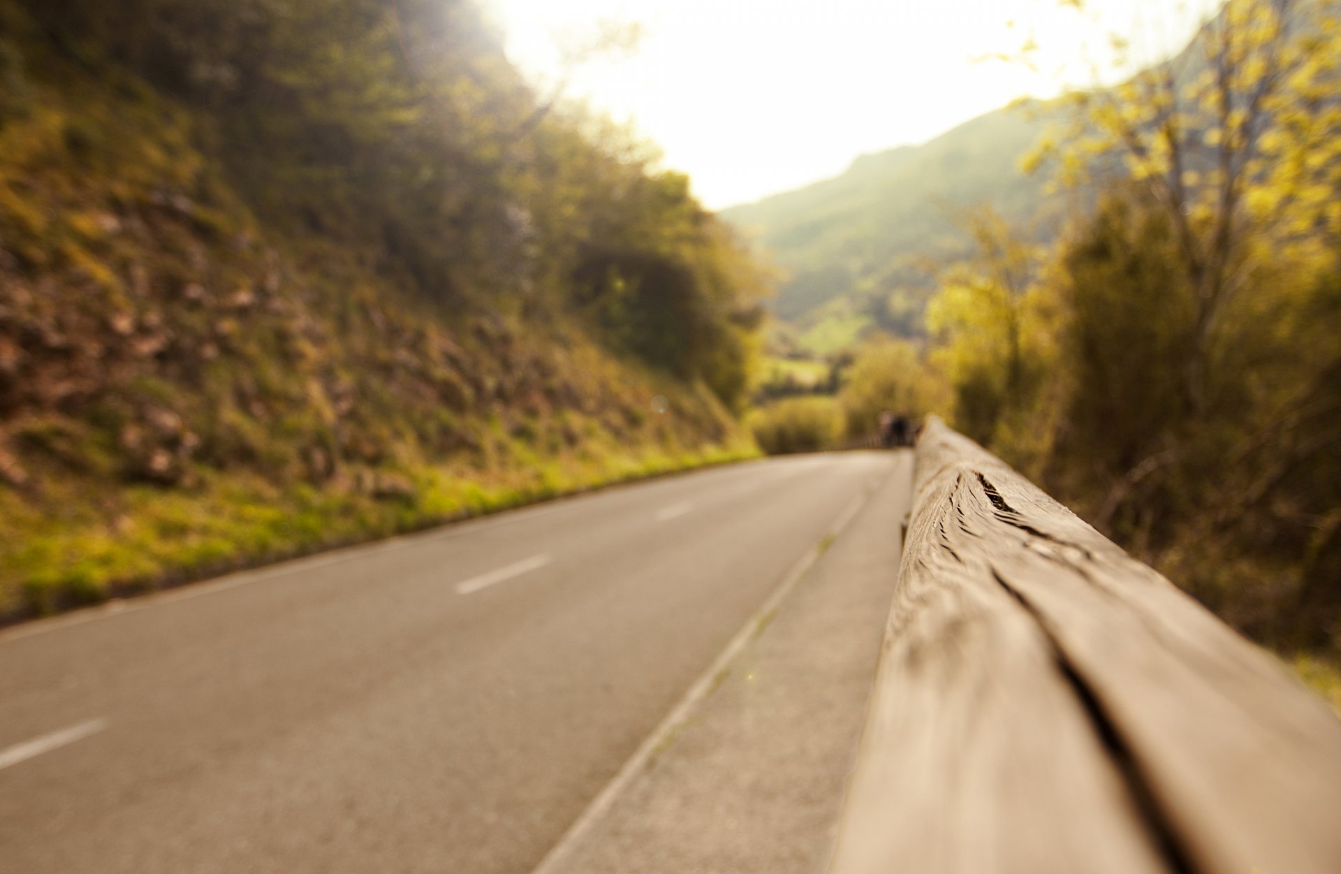 straße asphalt zaun zaun baum bäume unschärfe natur herbst