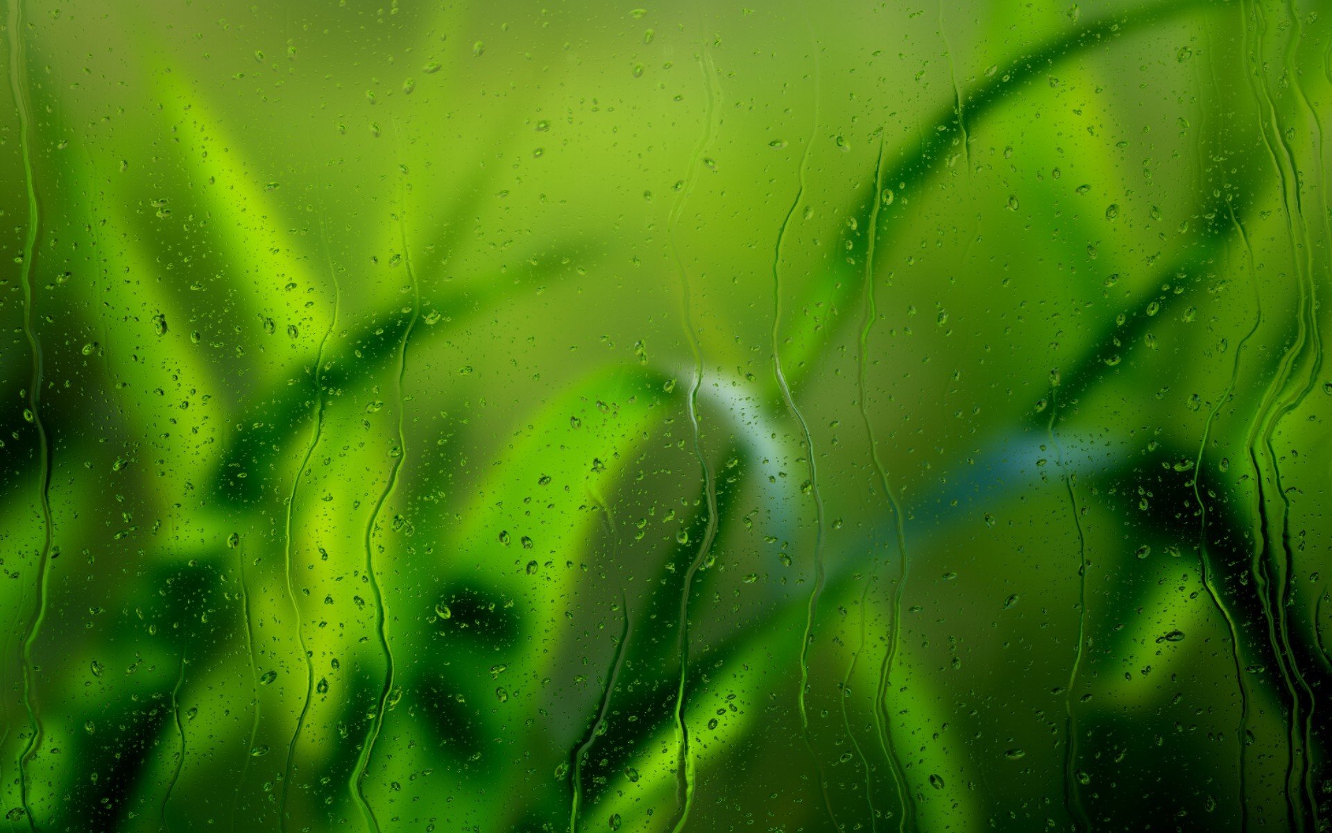 close up glass grass drop