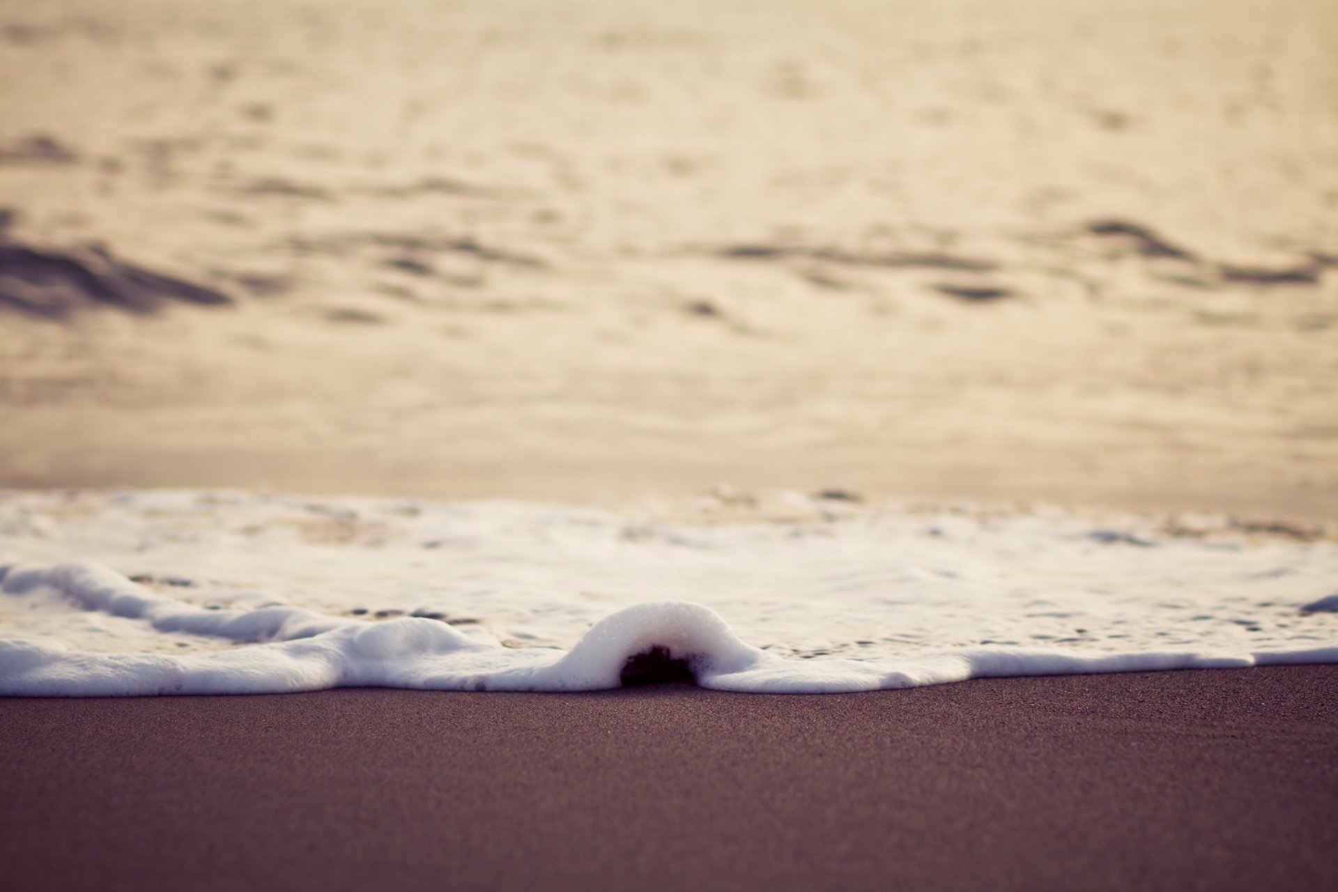 close up wet sea beach foam