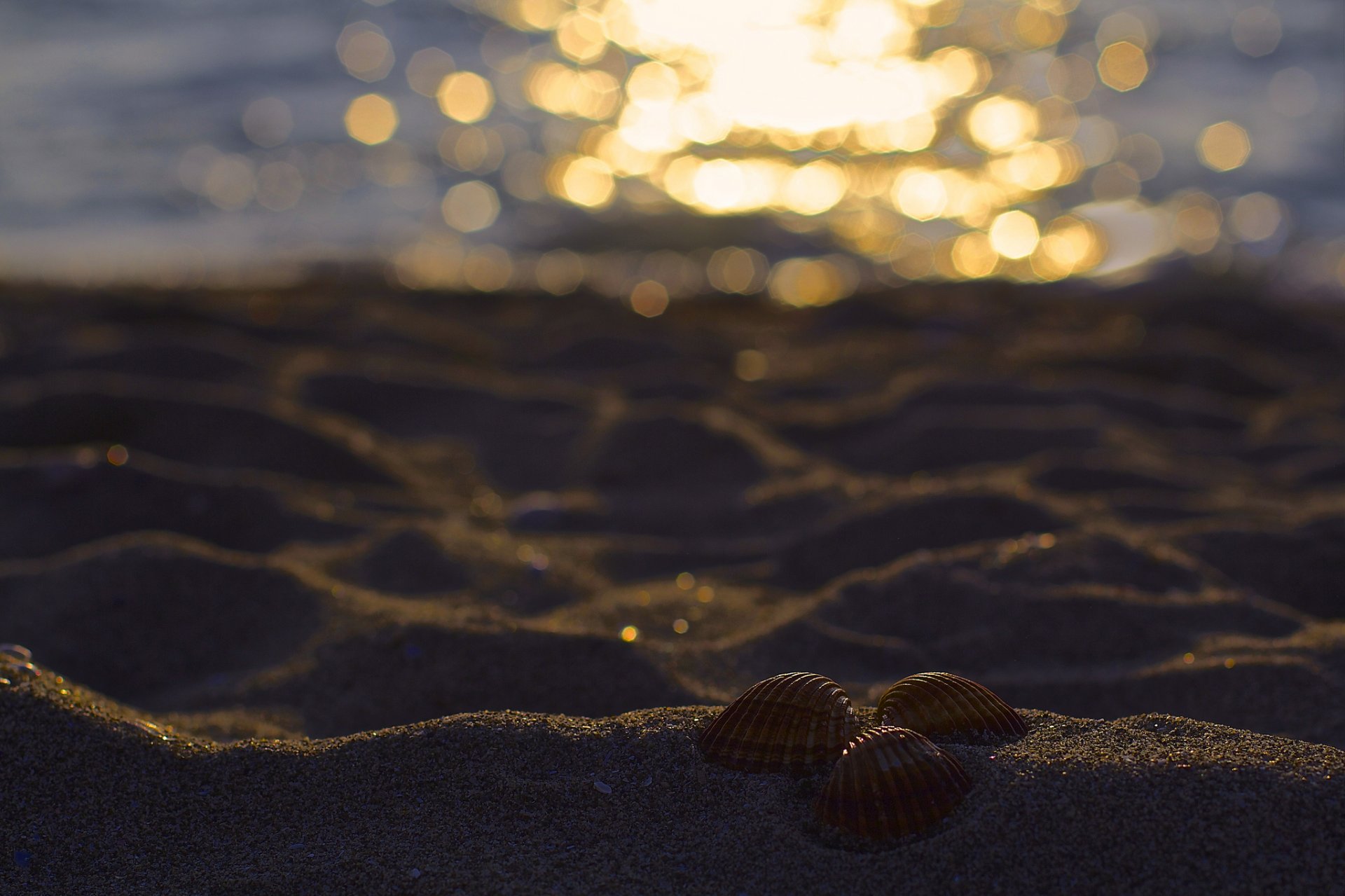 spiaggia sabbia conchiglie tre abbagliamento bokeh