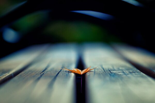 Blurry photo of a leaf on the background of a drop