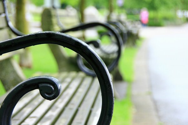 Gros plan de bancs dans le parc sur fond flou