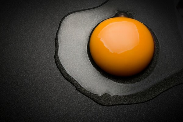 Scrambled eggs in macro format