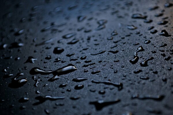 Gotas de agua sobre fondo negro