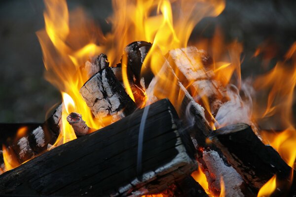 Schönheit im brennenden Feuer