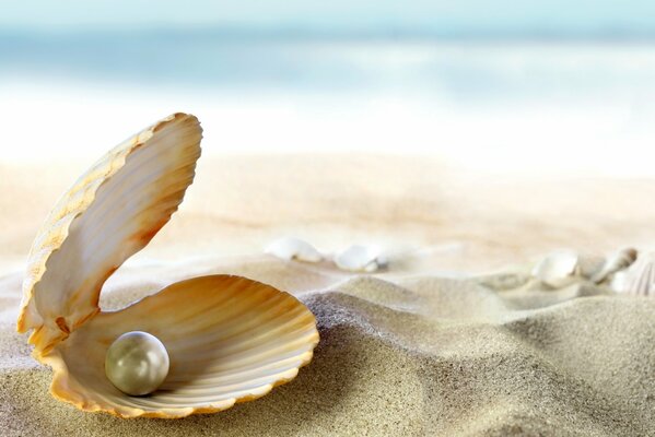 Perle dans une coquille de coquillage sur la plage de la mer