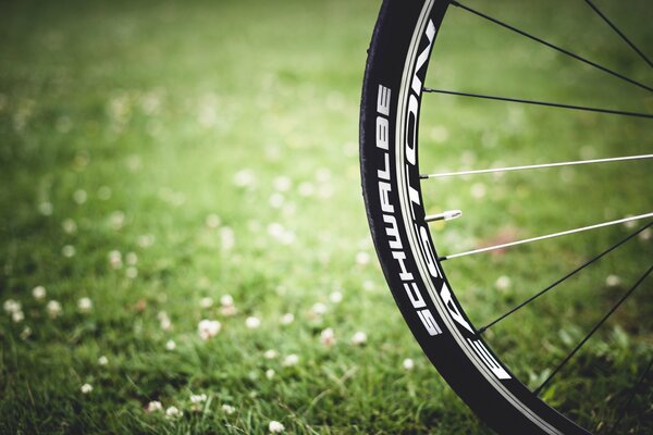 The bike rides on the green grass