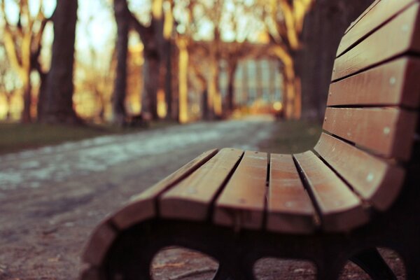 Macro photography of a bench in a folder against a background of trees