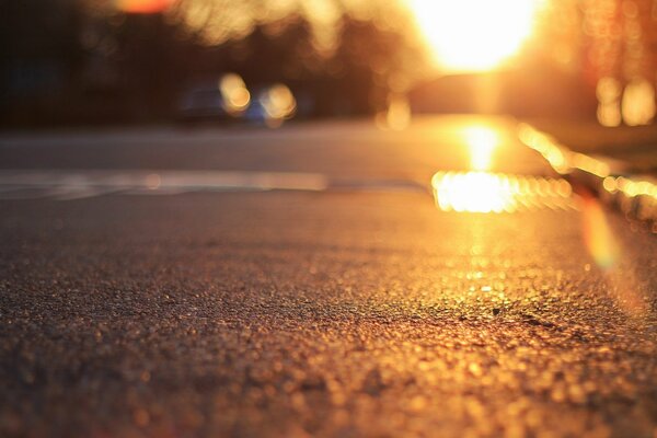 The rays of the setting sun on the asphalt