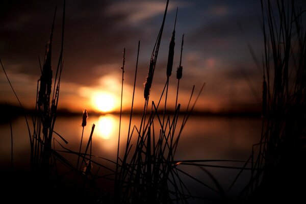 Schöne Aussicht auf den Sonnenuntergang auf dem Hintergrund des Sees