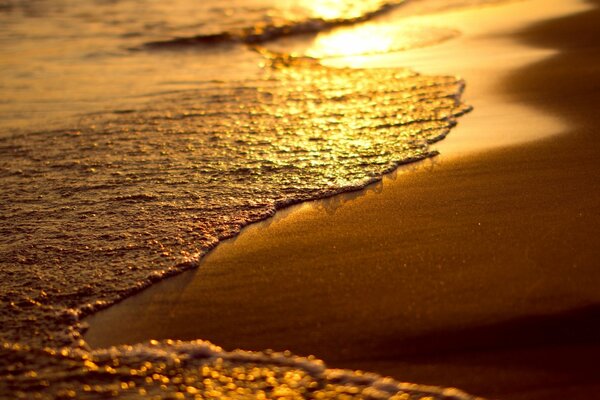 Coucher de soleil doré sur la plage de sable