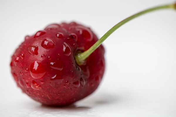 Water droplets on a beautiful red apple