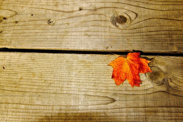 Hoja de arce naranja sobre una mesa de madera