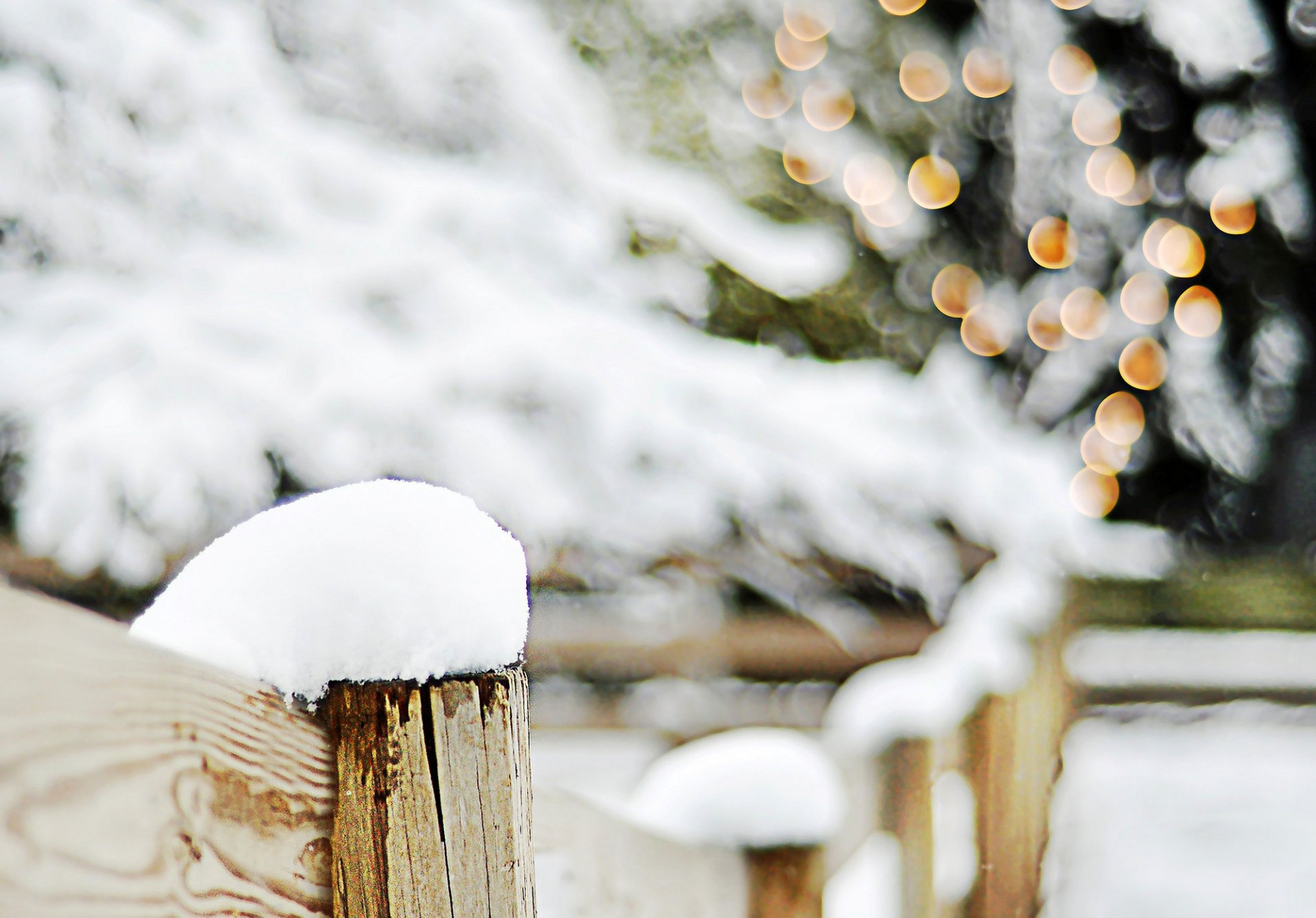 fence wood tree branches snow winter bokeh lights blur