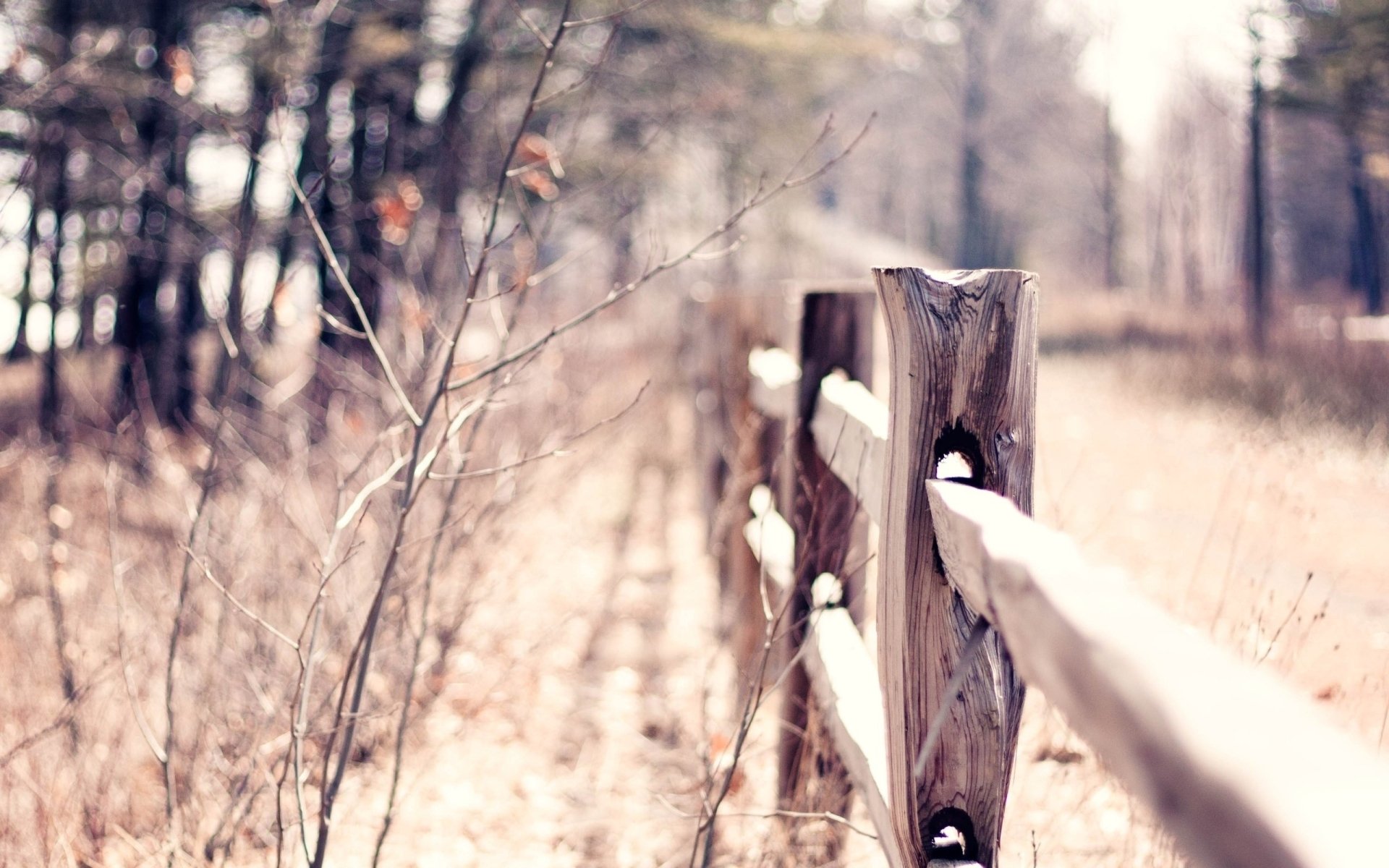 autumn fencing fence warm macro blur bokeh