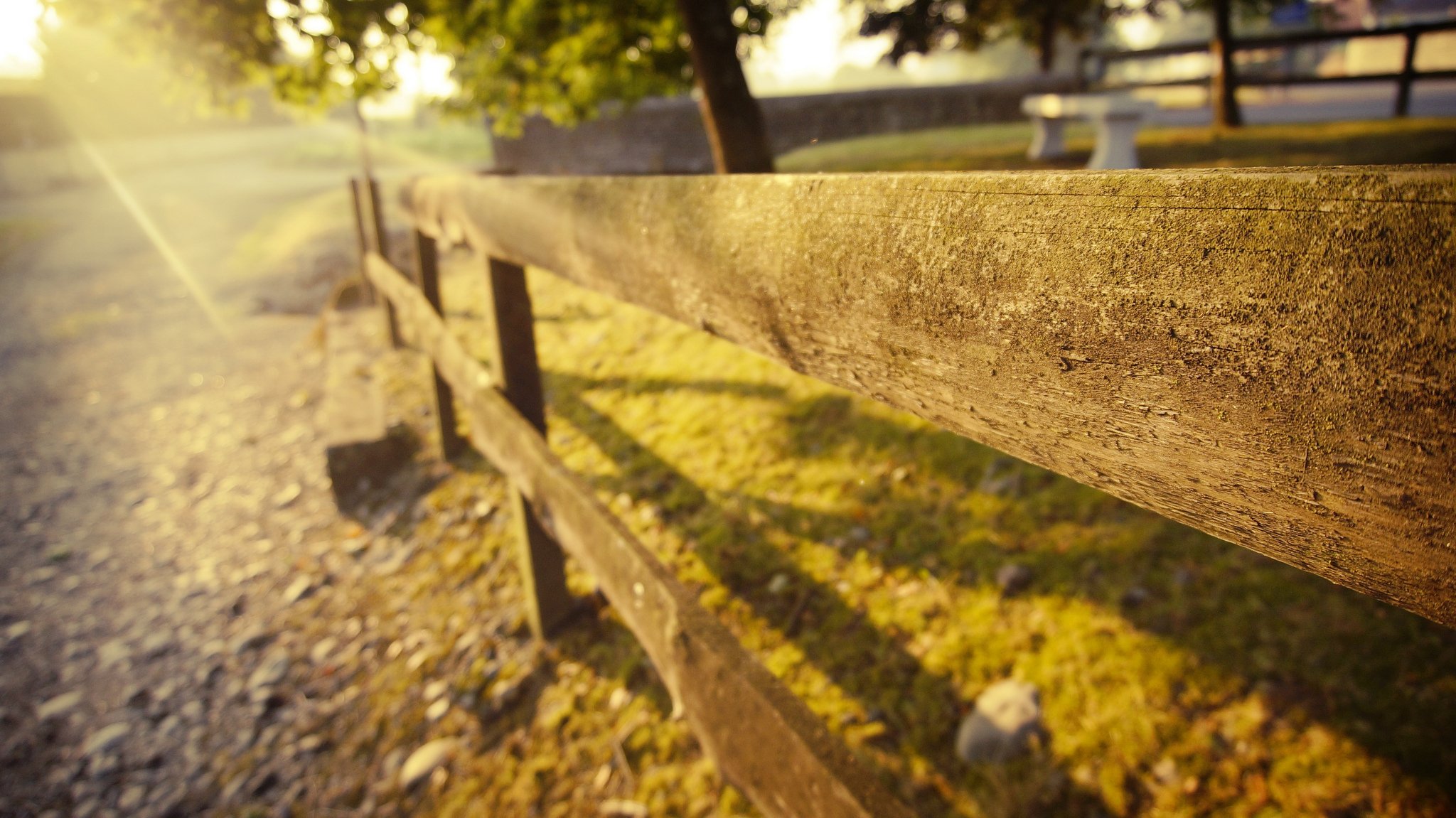 zaun zaun bretter steine gras natur sommer bäume sonne licht