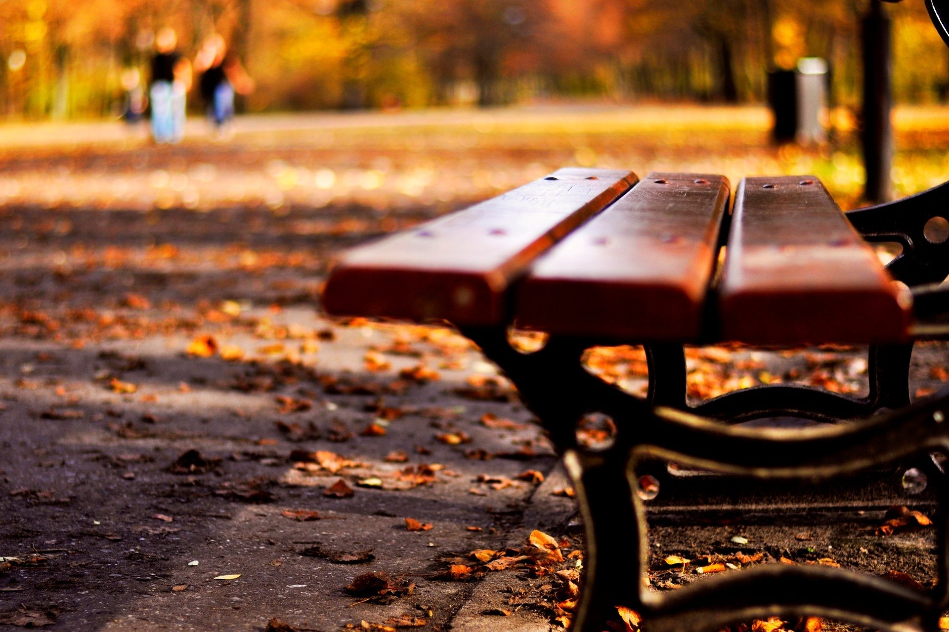 macro umore panchina panchina panchina foglie caduta delle foglie autunno foglie gialle natura macro sfondo carta da parati widescreen schermo intero widescreen widescreen