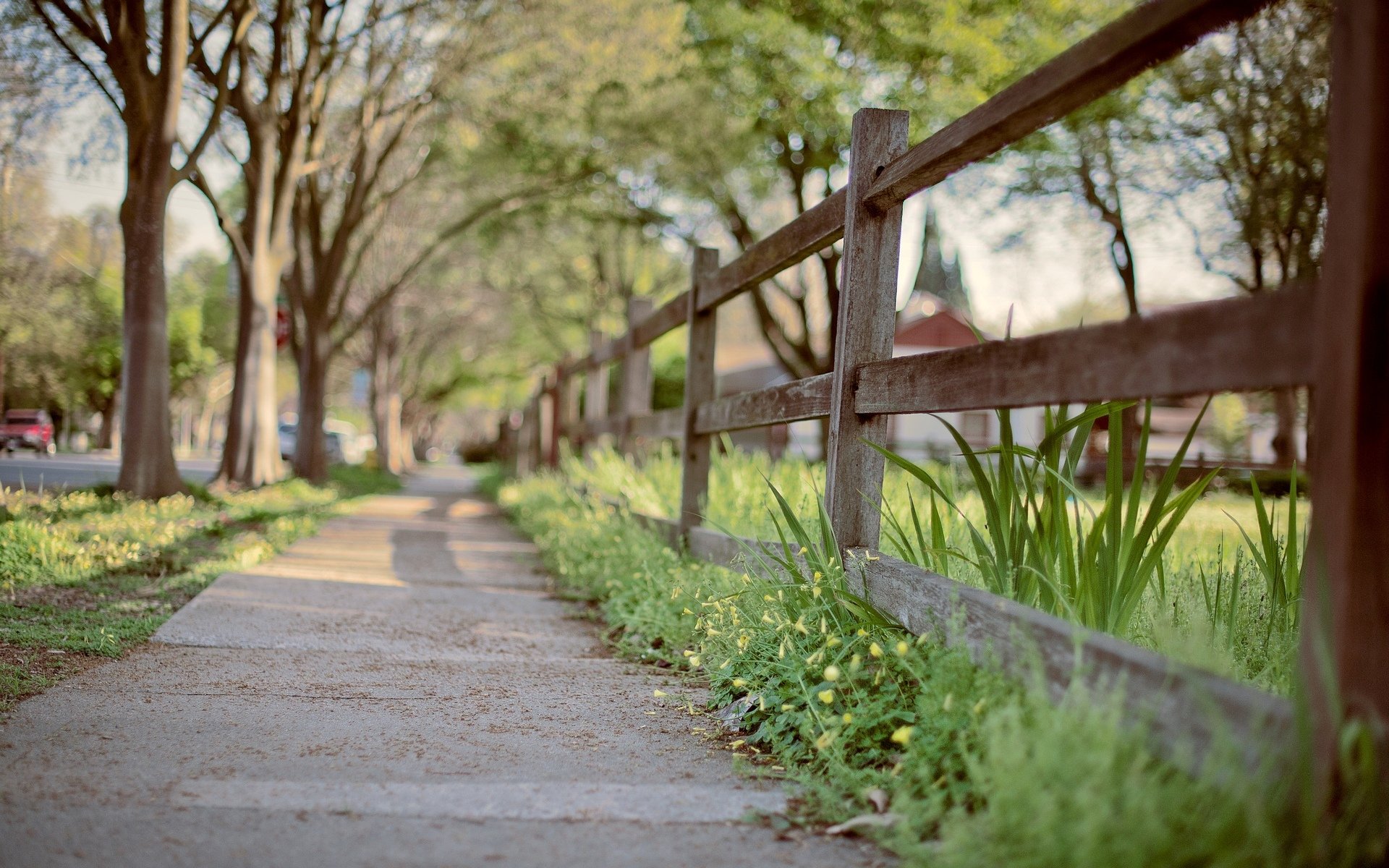 close up fence gates fencing track path grass green tree street town background wallpaper widescreen full screen hd wallpapers fullscreen