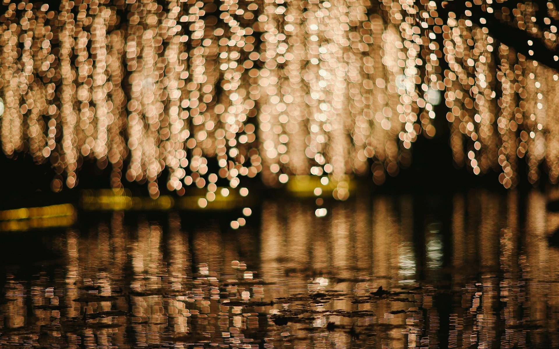 close up lights blur bokeh water a pool rain man background macro wallpaper widescreen full screen hd wallpaper