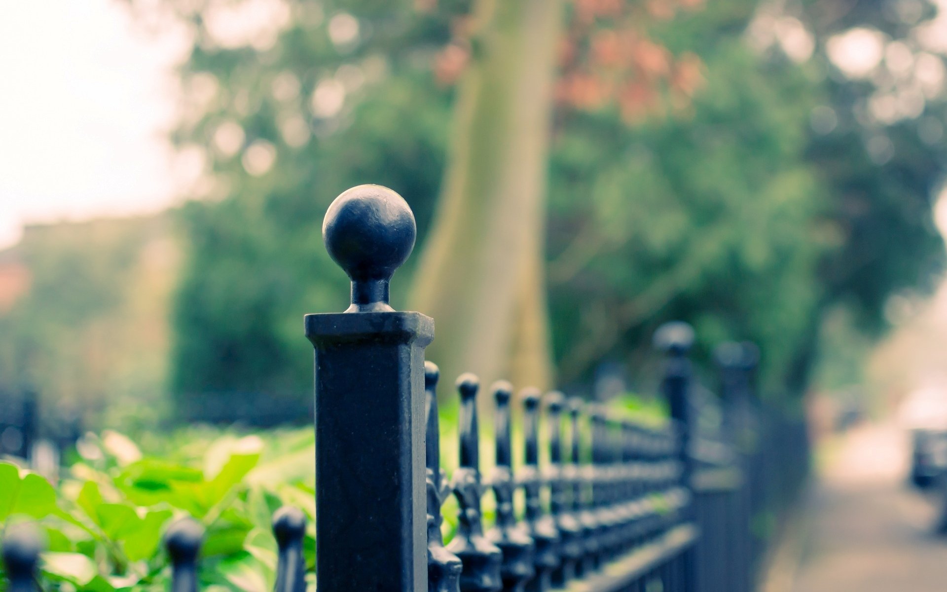 macro fence fence fence trees leaves blur background wallpaper widescreen fullscreen widescreen widescreen