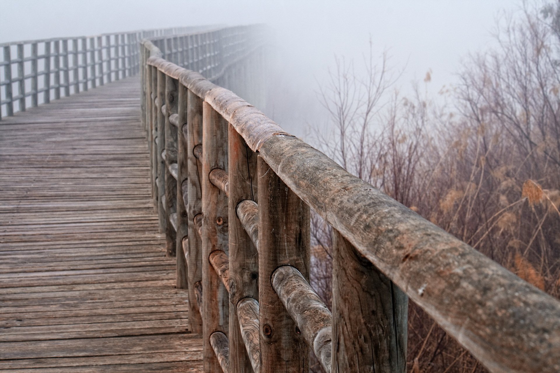 barandilla puente niebla macro