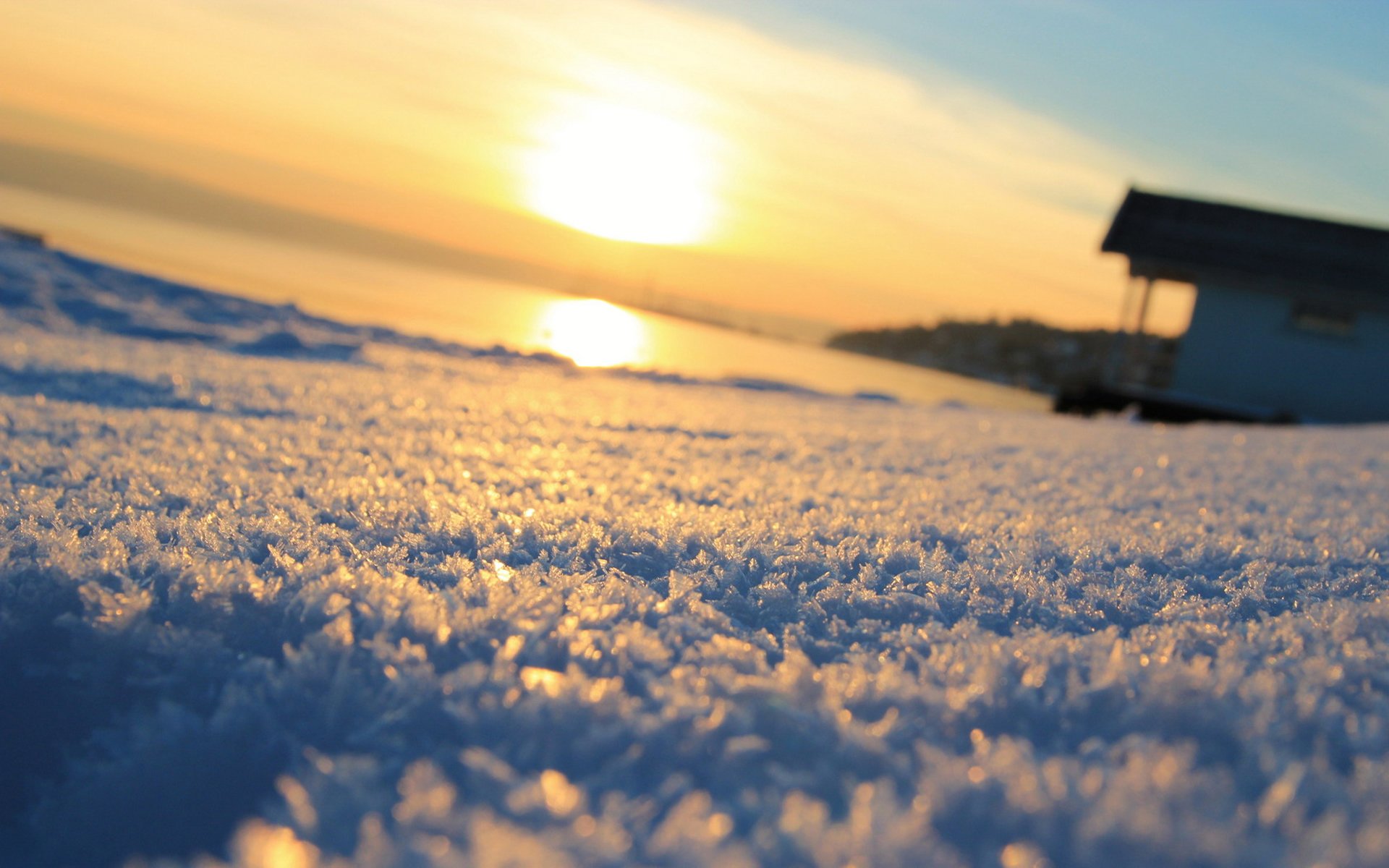 macro neve inverno inverno macro sole sfondo sfocatura carta da parati widescreen schermo intero widescreen