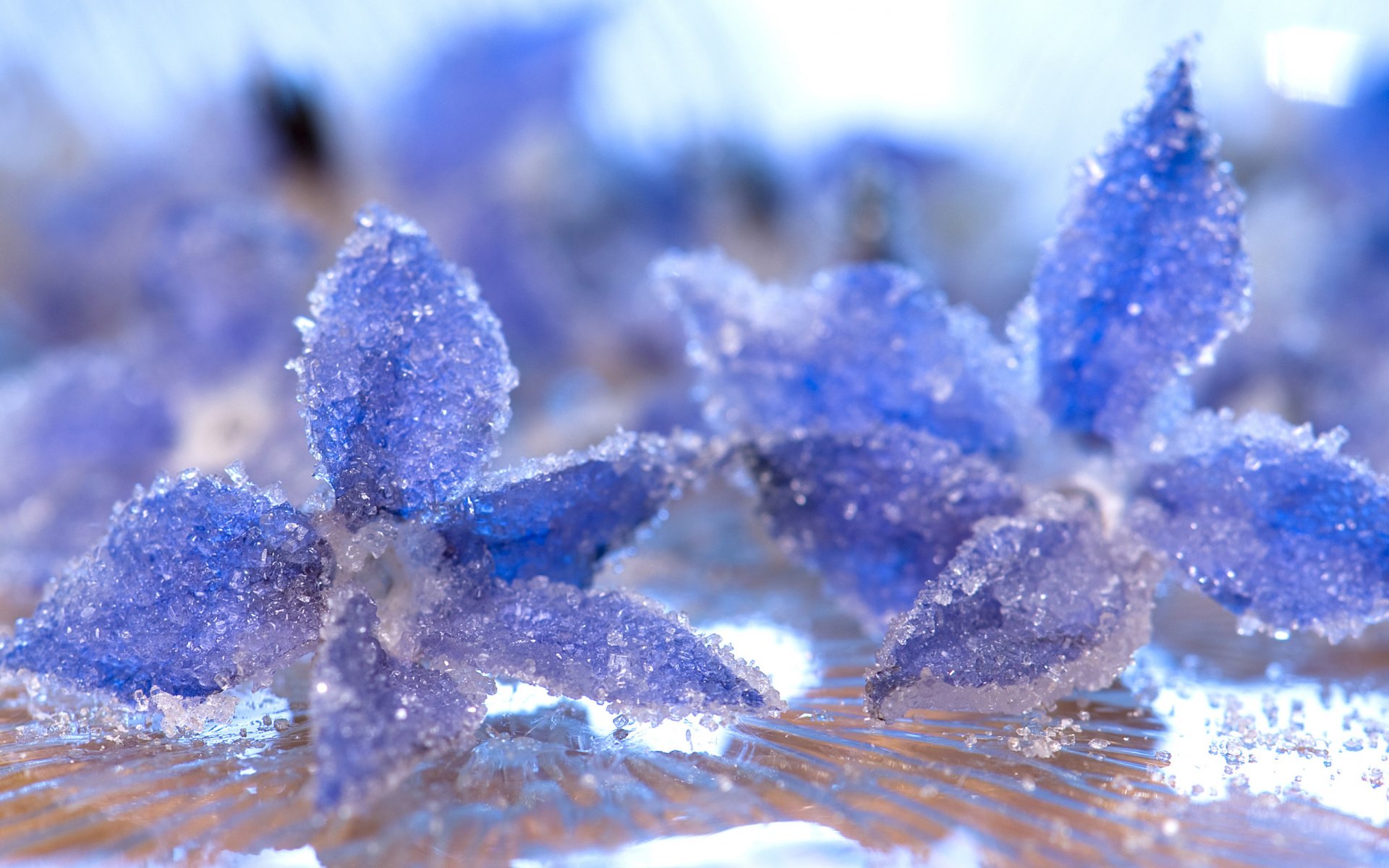 macro cristales hielo escarcha pétalos agua