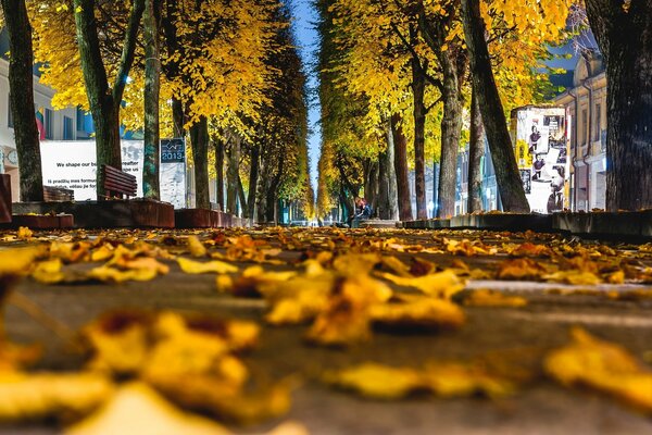 Gelber Herbst in der Stadt