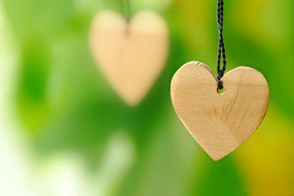 Coeurs en bois sur un lacet sur fond vert